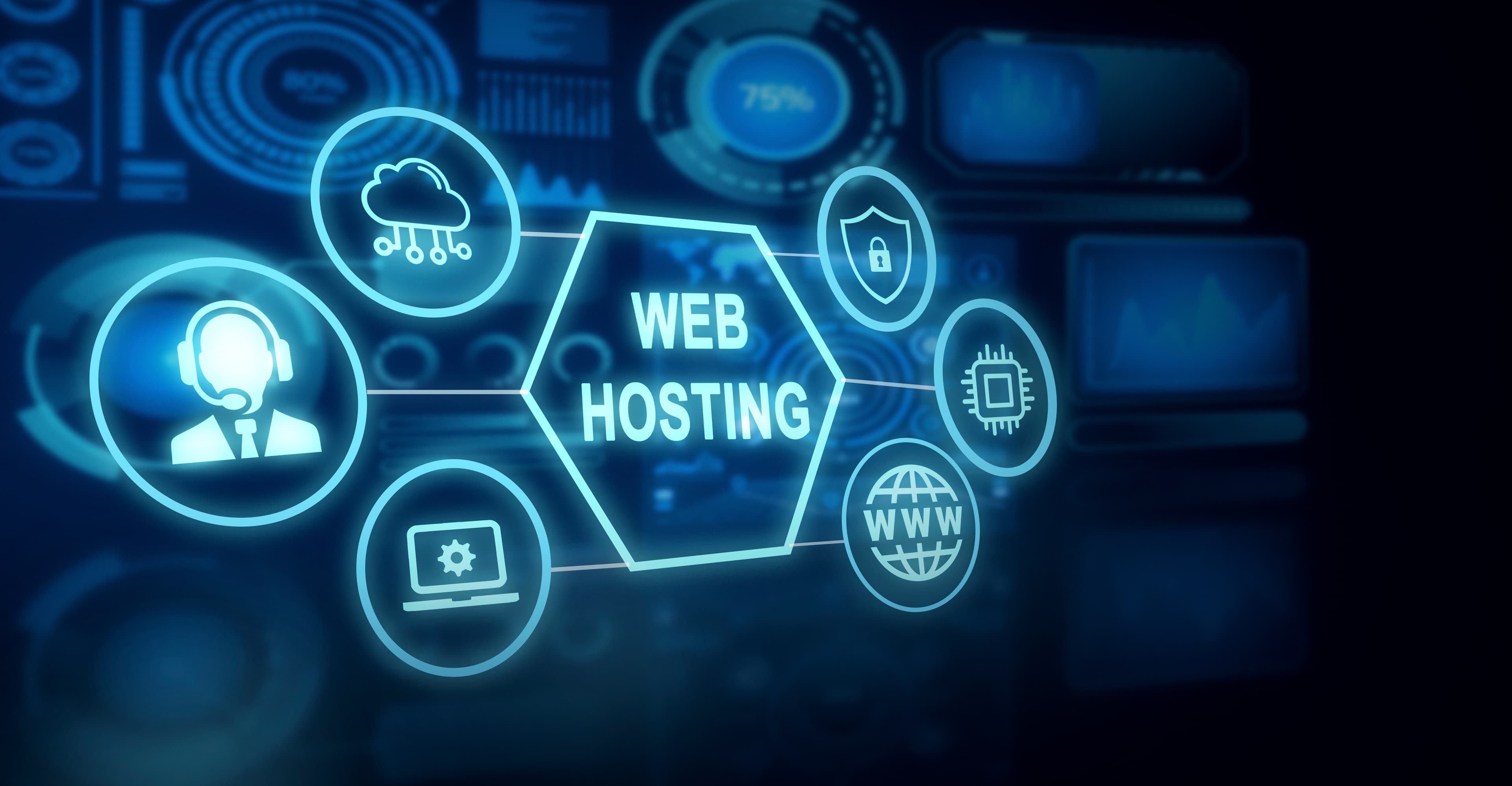 IT Services 5